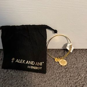 Alex and Ani Gold Charm Bracelet